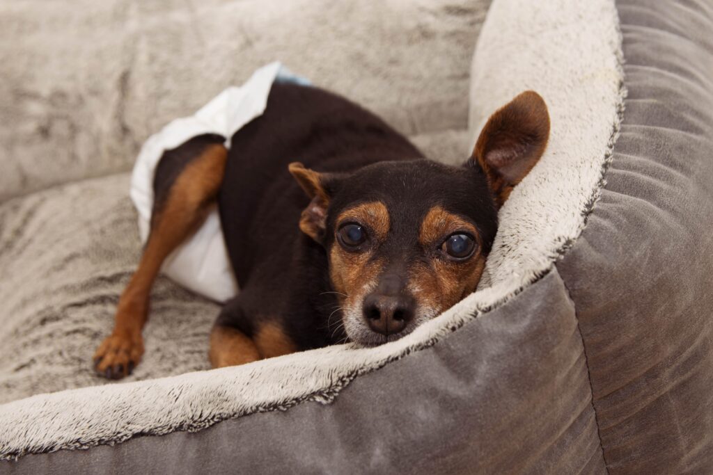 Creating Comfort Zones