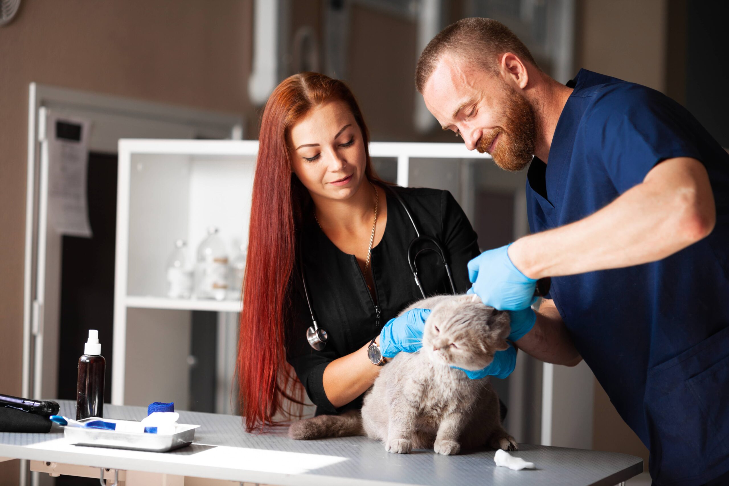 lab testing services (Boulder)