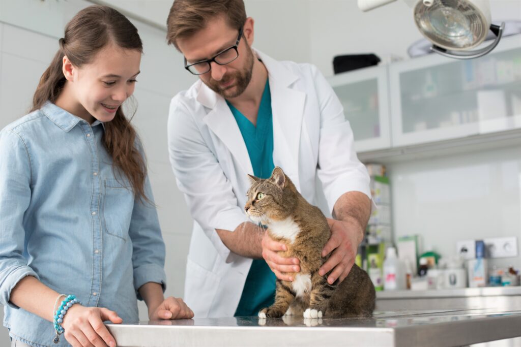 Indian Peaks Veterinary Hospital Launches New Lab Services Page to Help Boulder Pet Owners Book Same-Day Testing