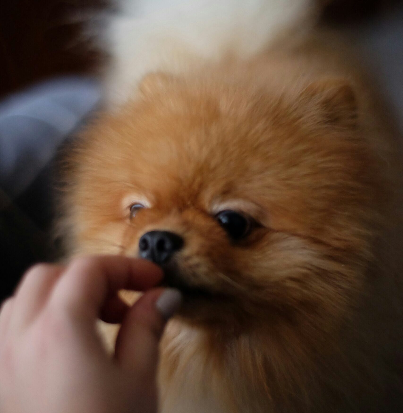 Anastasiia Yuu K0yjl0aoucq Unsplash