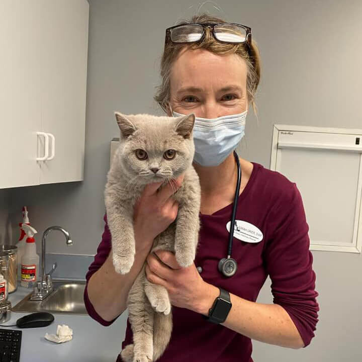 Dr Grier with mask holding gray cat